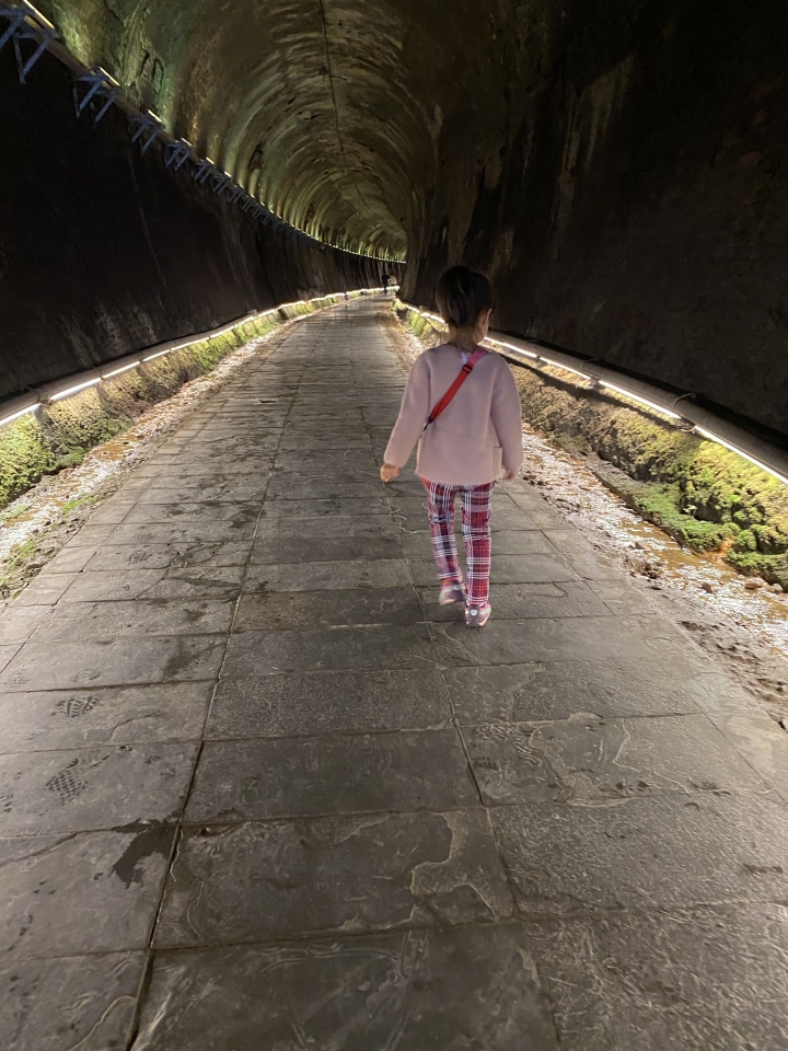 全台最美隧道～苗栗貓貍山功維敘隧道