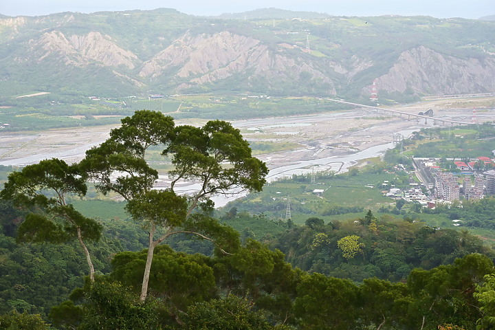 到台東拍到遊隼垂直俯衝，欣賞小黃山、卑南溪、富源觀景台、卑南溪水利公園、頂岩灣四格山和美濃冰品。
