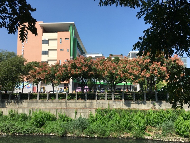 騎遊屏東市四大市場享食記