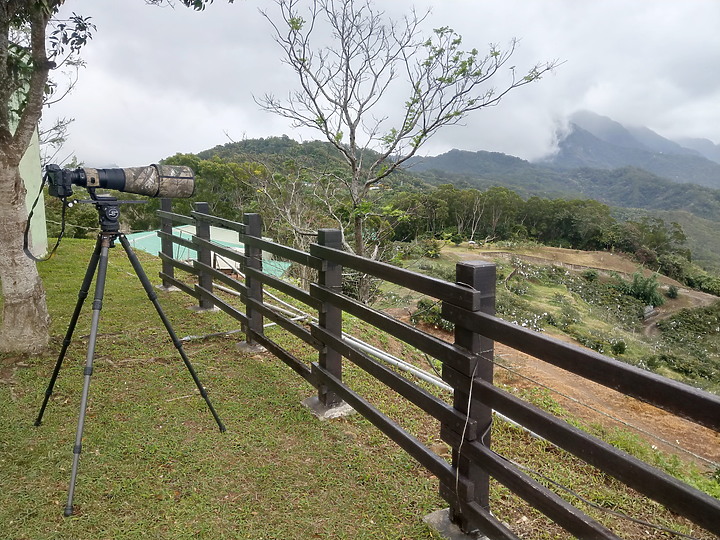 到台東拍到遊隼垂直俯衝，欣賞小黃山、卑南溪、富源觀景台、卑南溪水利公園、頂岩灣四格山和美濃冰品。