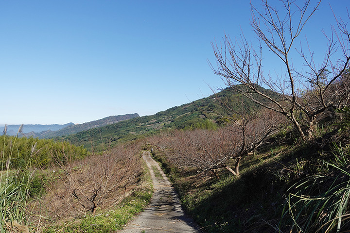 推薦~~壯闊山景大片草皮適合包區的想當年露營區