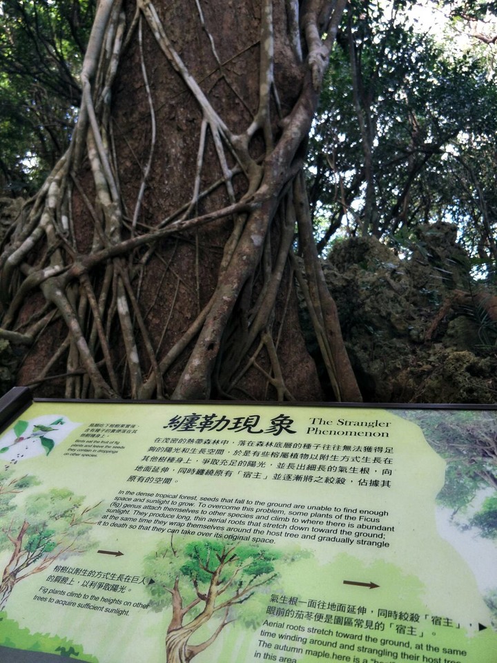 落山風下的~恆春半島