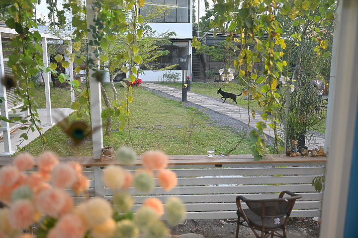 南邊61-6的萬人迷巨型貴賓犬JoJo，歡迎來南邊61-6享受咖啡、早午晚餐，體驗迷人的氛圍。