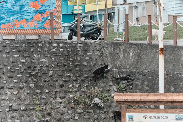 2020 回顧