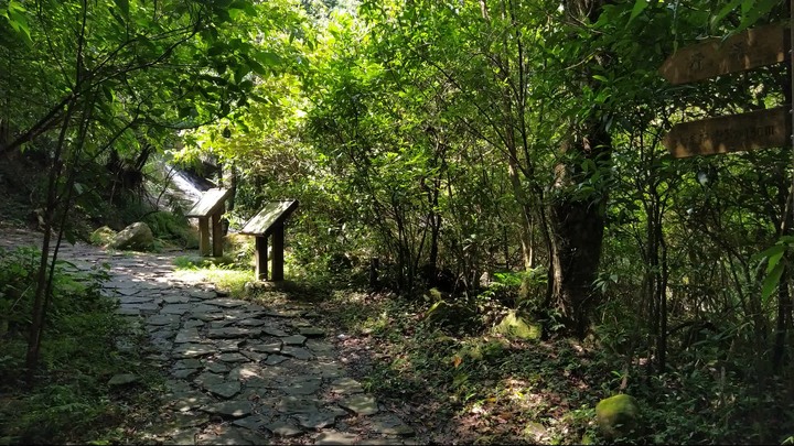 [樂山童盟] [基隆暖暖] 暖東峽谷步道