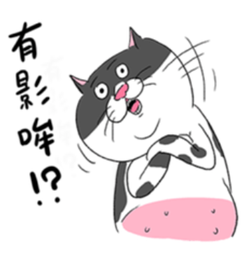 本宮12檔股票，抱到明年