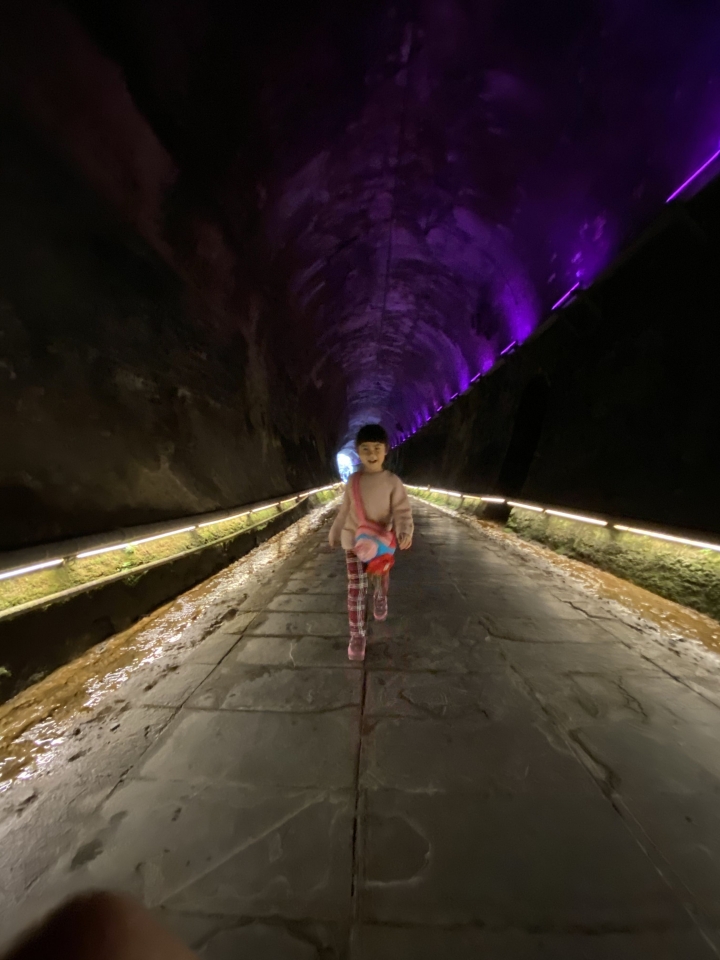 全台最美隧道~苗栗貓貍山功維敘隧道