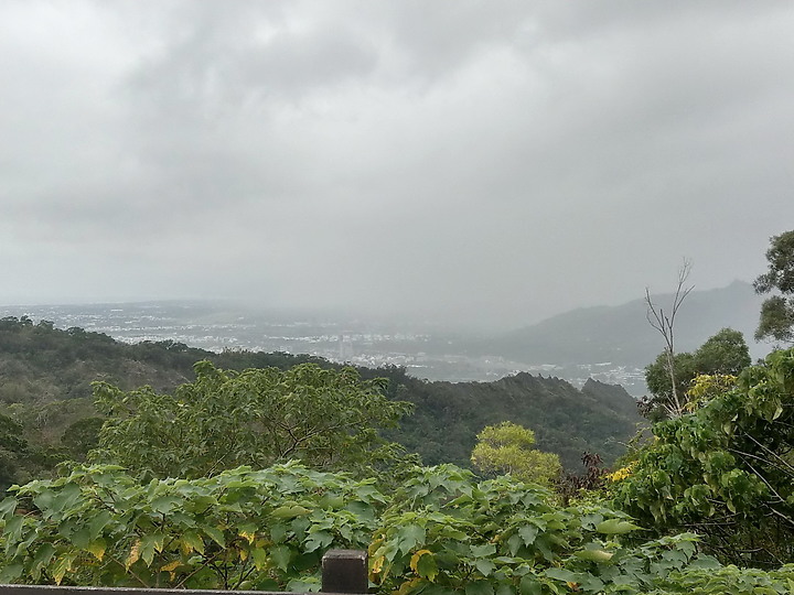 到台東拍到遊隼垂直俯衝，欣賞小黃山、卑南溪、富源觀景台、卑南溪水利公園、頂岩灣四格山和美濃冰品。