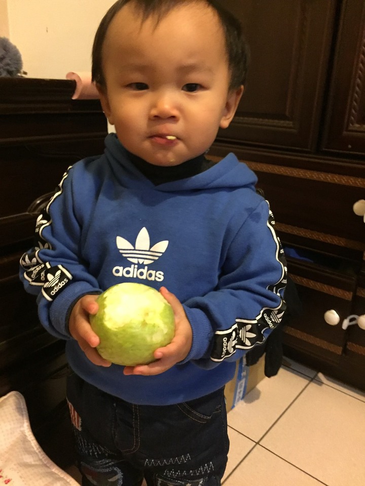 點我看大圖 解救石頭奶媽媽~讚嘆雀巢能恩