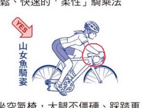 請教關於轉骨盆 直背（山女魚）騎車法