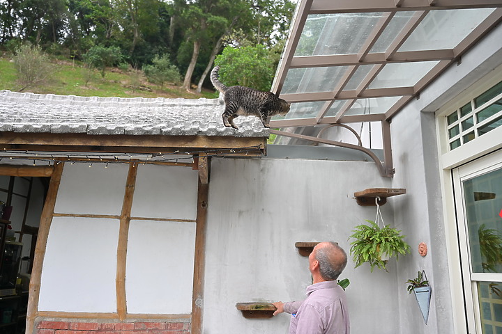 到台東拍到遊隼垂直俯衝，欣賞小黃山、卑南溪、富源觀景台、卑南溪水利公園、頂岩灣四格山和美濃冰品。