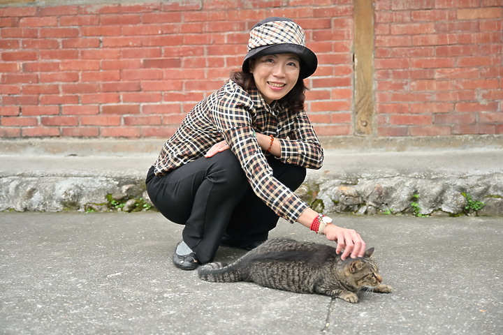 到台東拍到遊隼垂直俯衝，欣賞小黃山、卑南溪、富源觀景台、卑南溪水利公園、頂岩灣四格山和美濃冰品。