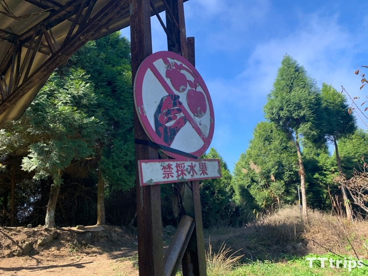 馬拉邦山楓葉季一日遊：登山步道、難度、交通整理