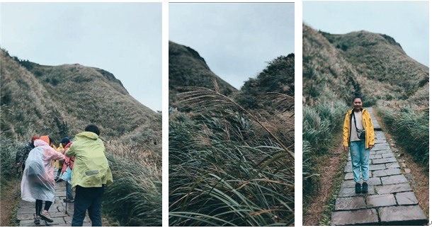 2020草嶺古道芒草季 路線紀錄