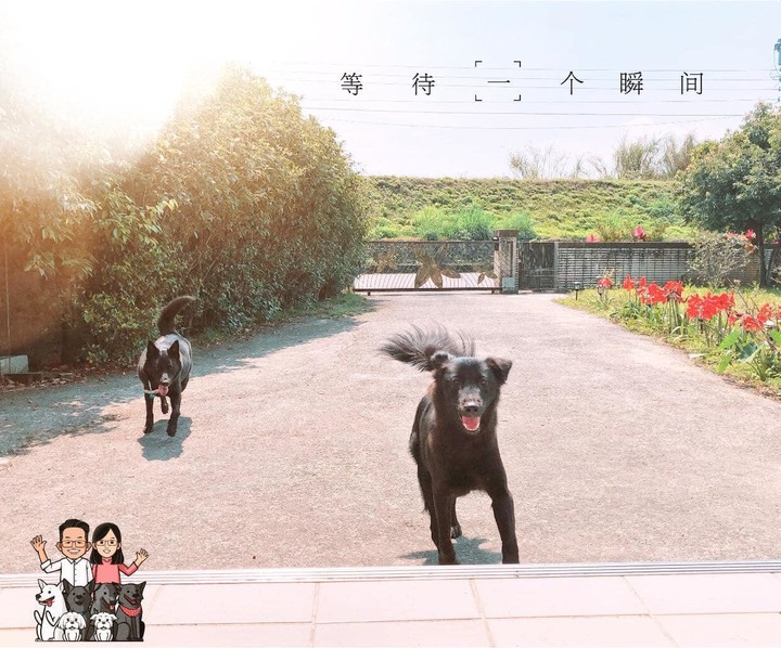 【試用】寵物家庭必備/acerpure cool 2合1空氣循環清淨機