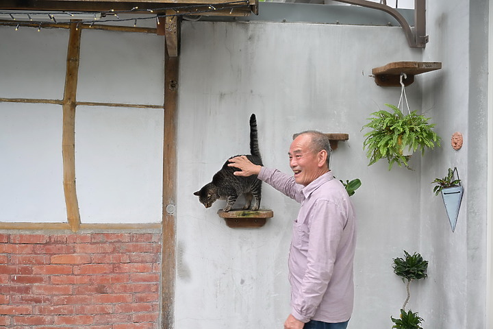 到台東拍到遊隼垂直俯衝，欣賞小黃山、卑南溪、富源觀景台、卑南溪水利公園、頂岩灣四格山和美濃冰品。