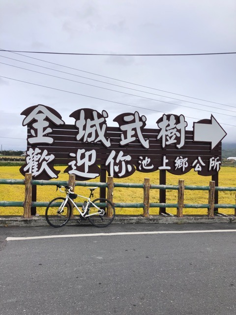 (2020冬) 🚴🚴 台東慢活 五日自由騎