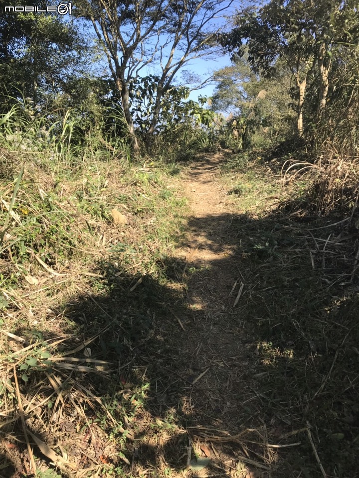 2020最後一登~~臺南烏山縱走