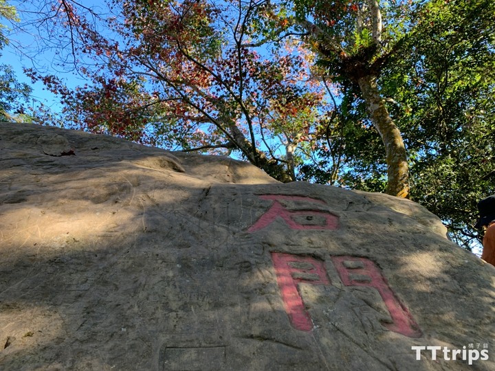 馬拉邦山楓葉季一日遊：登山步道、難度、交通整理