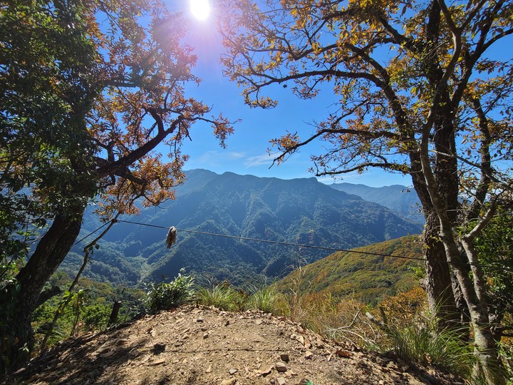 苗栗水雲三星老大－虎山