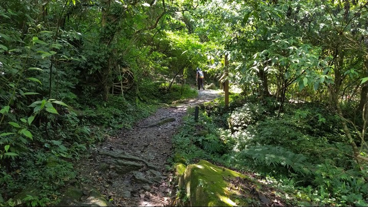 [樂山童盟] [基隆暖暖] 暖東峽谷步道