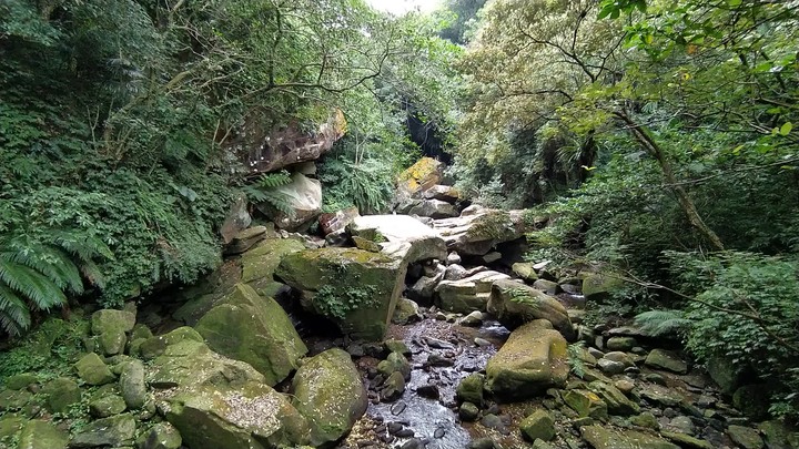 [樂山童盟] [基隆暖暖] 暖東峽谷步道