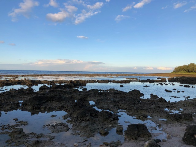 (2020秋) 🚴🚴 台灣縱騎 6天5夜 (捷安特)