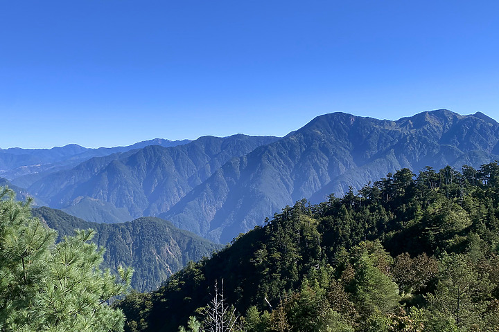台中和平｜大雪山國家森林遊樂區｜小神木一點也不小．遠眺群山雲海大景