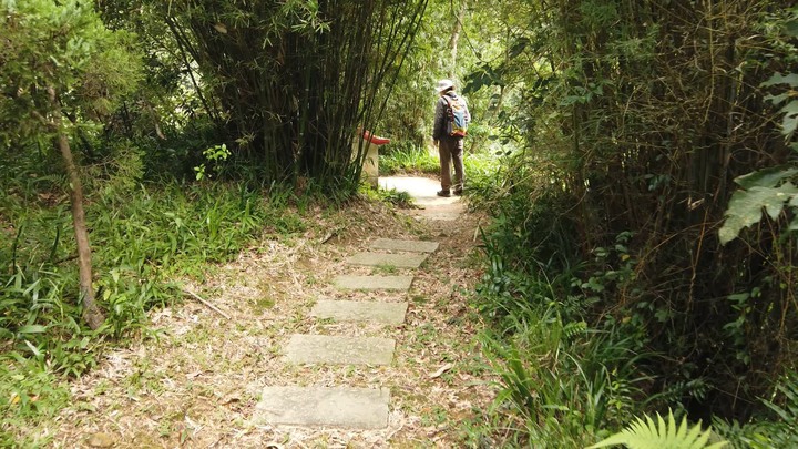 [樂山童盟] [台北文山] 茶香環狀步道(健康步道-茶展中心步道-壺穴步道-小天空步道)