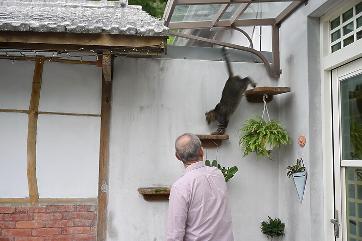 到台東拍到遊隼垂直俯衝，欣賞小黃山、卑南溪、富源觀景台、卑南溪水利公園、頂岩灣四格山和美濃冰品。