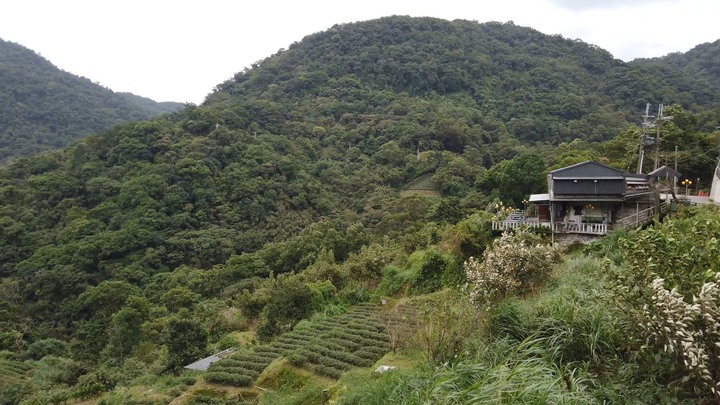 [樂山童盟] [台北文山] 茶香環狀步道(健康步道-茶展中心步道-壺穴步道-小天空步道)