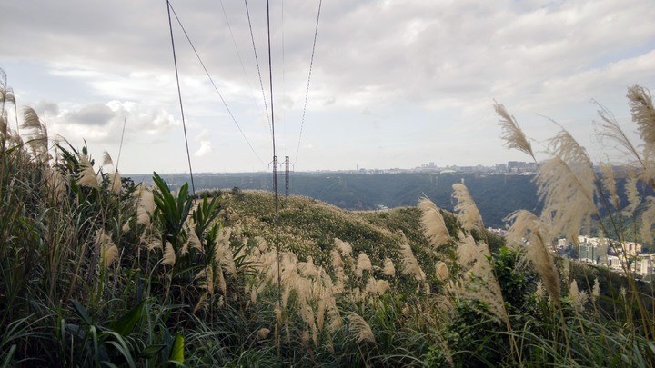 【大棟山縱走】鶯歌石步道、大棟山405高地、青龍嶺、三角埔頂山18公里一日單攻 | 鶯歌迴龍登山健行交通攻略