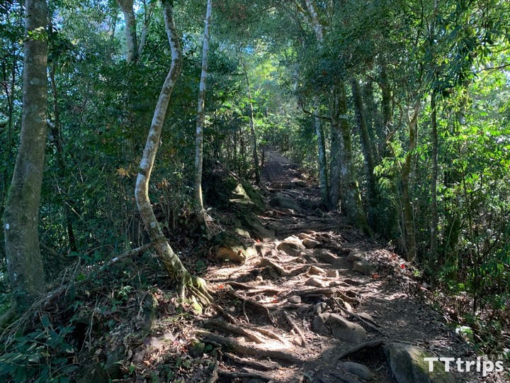 馬拉邦山楓葉季一日遊：登山步道、難度、交通整理