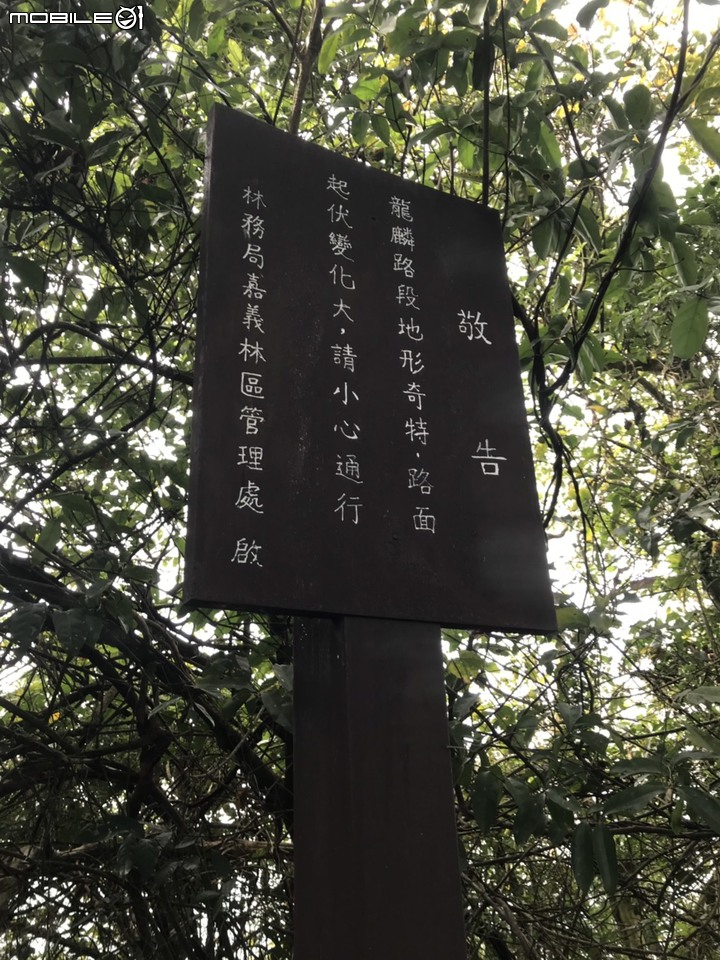 2020最後一登~~臺南烏山縱走