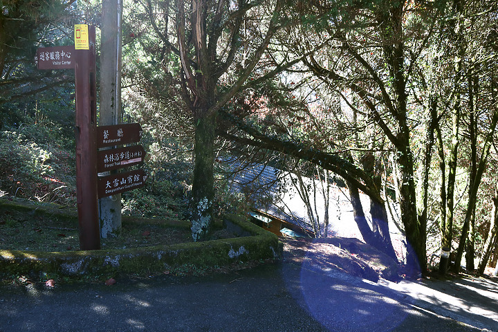 台中和平｜大雪山國家森林遊樂區｜小神木一點也不小．遠眺群山雲海大景