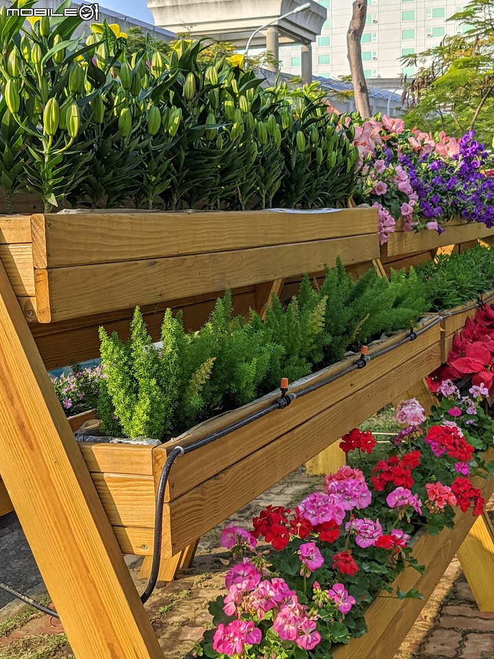 耶誕花道 台南市議會永華路二段 12/17