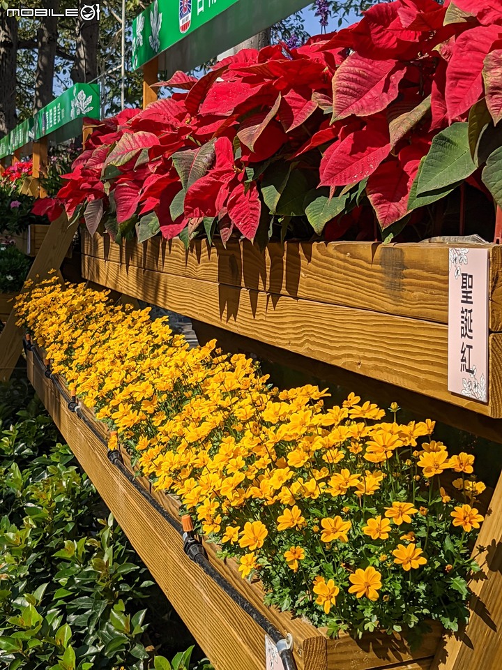 耶誕花道 台南市議會 12/26