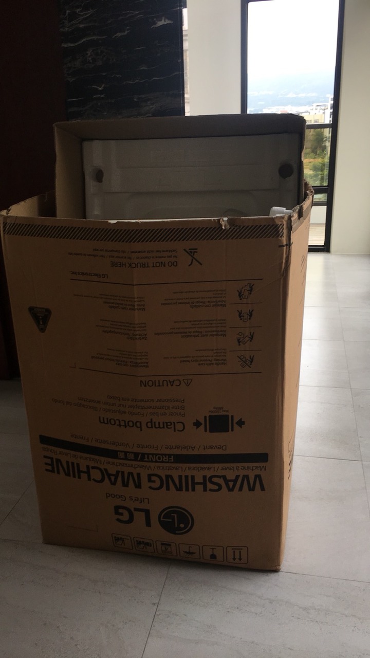 LG 滾筒洗衣機twinwash 開箱(WT-SD169HVG)