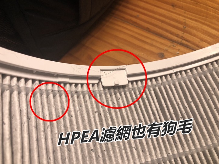 【試用】寵物家庭必備/acerpure cool 2合1空氣循環清淨機