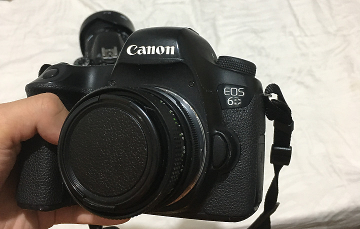 Canon EOS R6 使用三個月使用心得