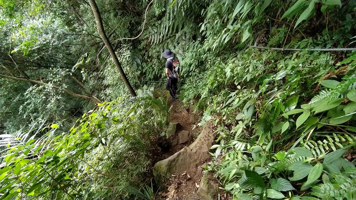 [樂山童盟] [基隆暖暖] 暖東峽谷步道