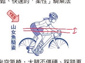 請教關於轉骨盆 直背（山女魚）騎車法
