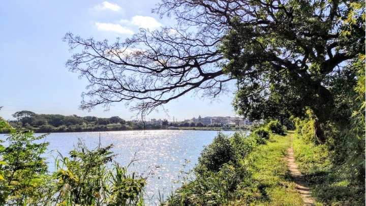 豈只驚艷！青埔A18湖景宅 "丰城秀景"賞屋