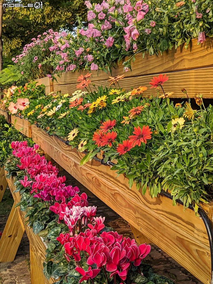 耶誕花道 台南市議會永華路二段 12/17