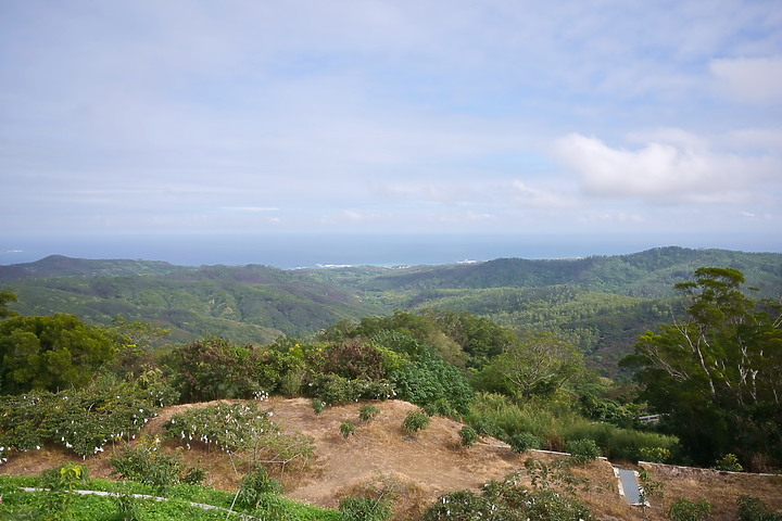 到台東拍到遊隼垂直俯衝，欣賞小黃山、卑南溪、富源觀景台、卑南溪水利公園、頂岩灣四格山和美濃冰品。