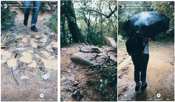 2020草嶺古道芒草季 路線紀錄