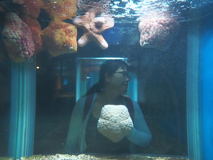 小琉球海洋館、琉球旅客服務中心 — 老狗抓住夏天的尾巴之「偽出國」行旅第四部 — 琉球嶼的室內景點
