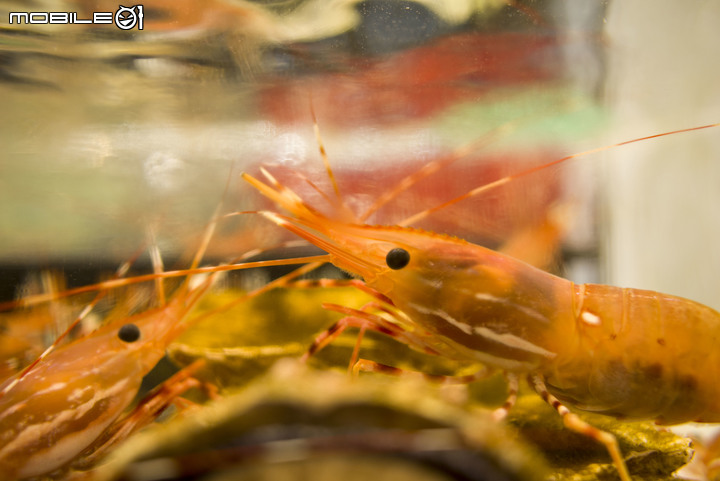 I'm lost in 香港 _ 港劇之旅_DAY05 已完結