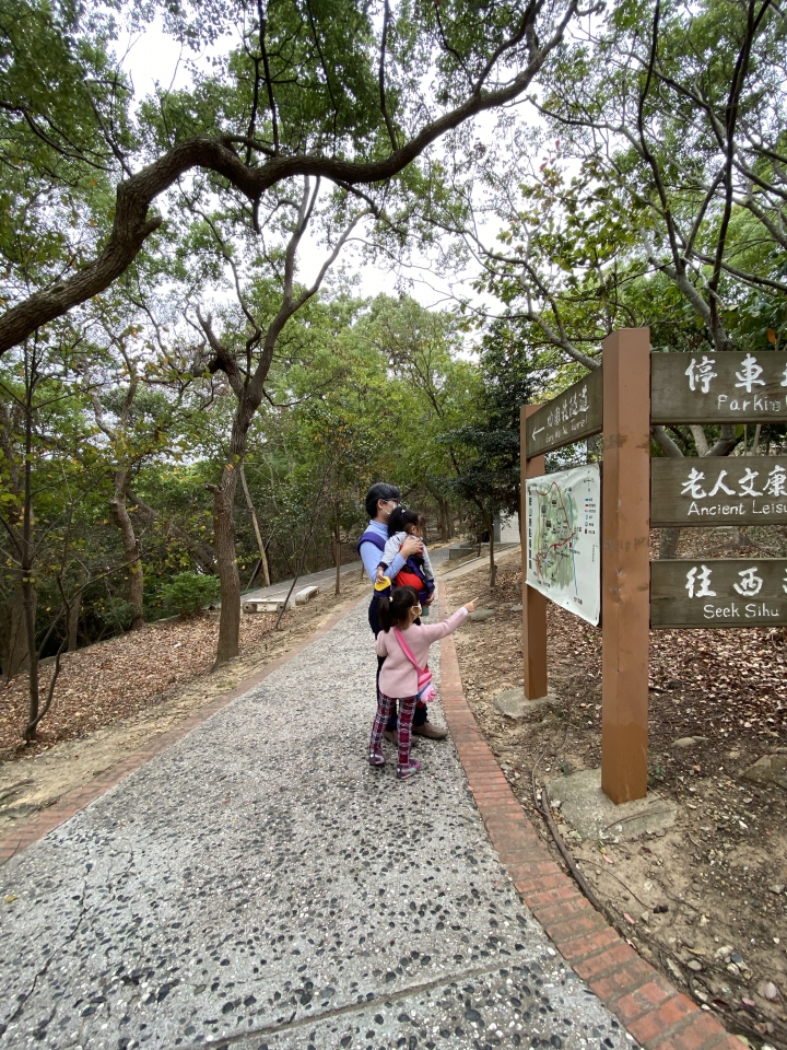 全台最美隧道～苗栗貓貍山功維敘隧道