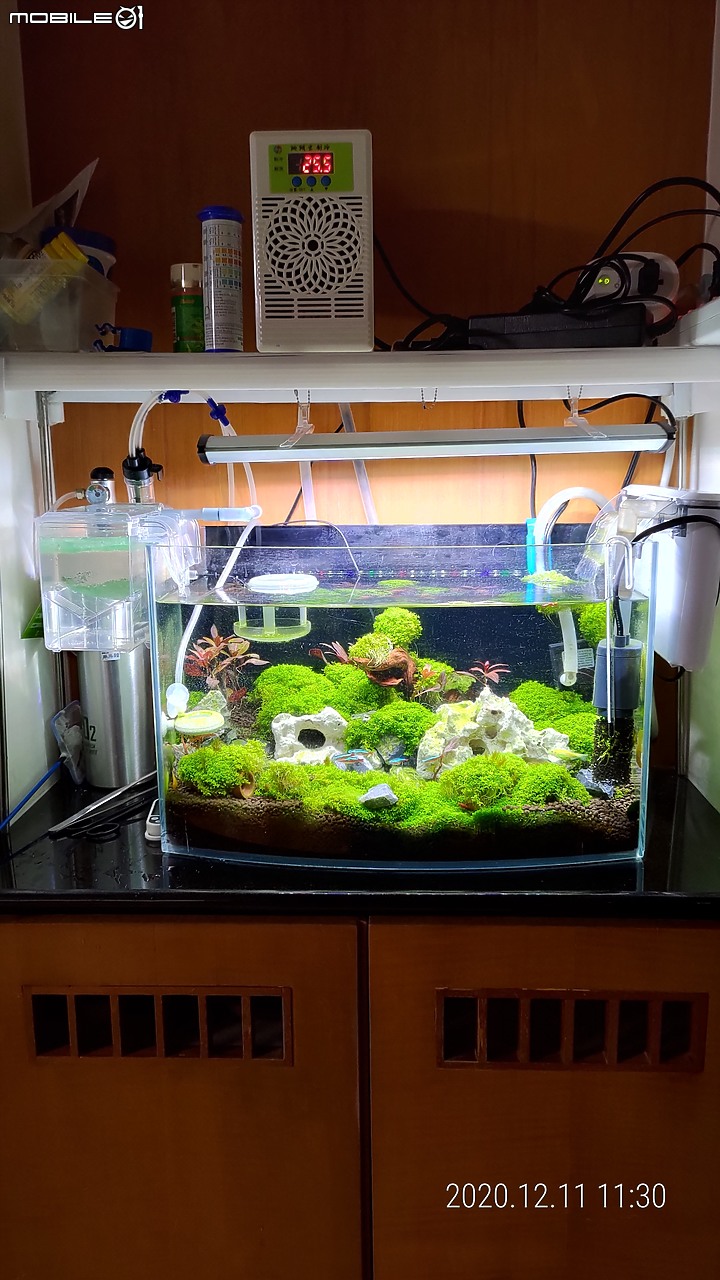 湊出一個小魚缸用的軟水器, 不算DIY